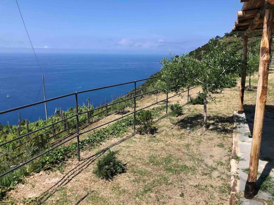 里奥马哲雷Orangehouse Cinque Terre. Private Parking别墅 外观 照片